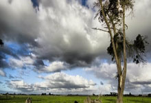 28国际官网:国足主力前锋韦世豪发声支持伊万留任,获球迷点赞.