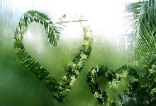 宿茂臻重回山东泰山足球俱乐部任职.