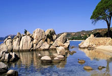 28国际官网:当归化不再是国足关键词 中国足球根基还是本土青训.